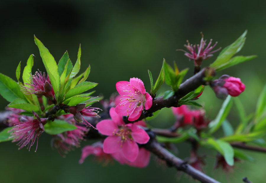 1562986132479718.jpg 3702490_1425992266667_mthumb.jpg